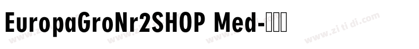 EuropaGroNr2SHOP Med字体转换